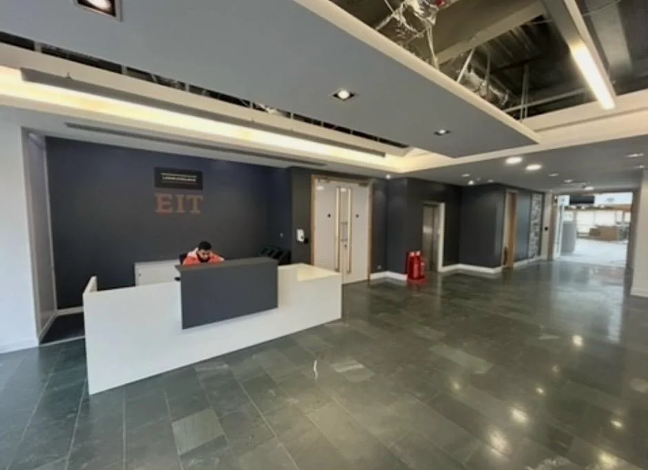 Full wall vinyl, photo 1: Full wall coverage vinyl